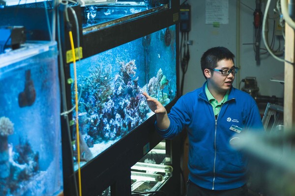 サンゴ水槽のまえで説明する今井さん