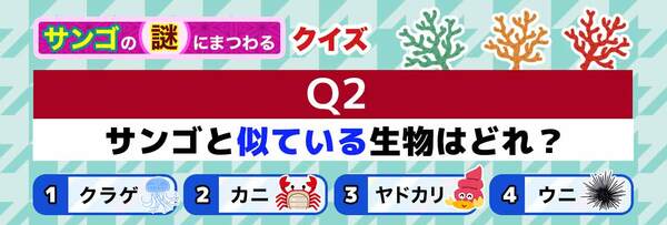 Q2 サンゴと似ている生物はどれ？ 1.くらげ 2.カニ 3.ヤドカリ 4.ウニ