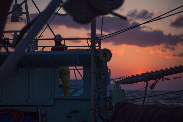 夕焼けの海