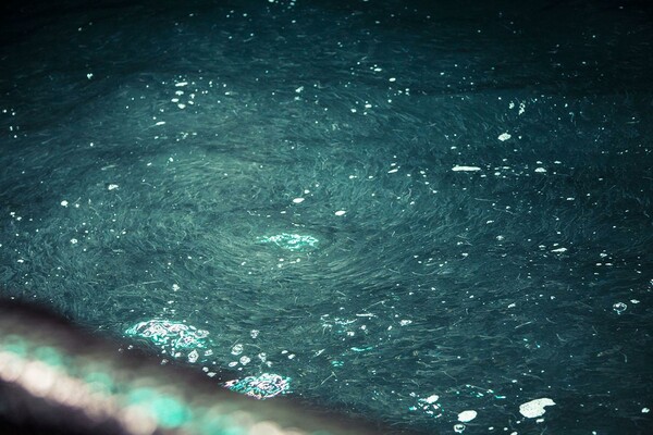 光に照らされて水面に上がってくるコウナゴの群れ