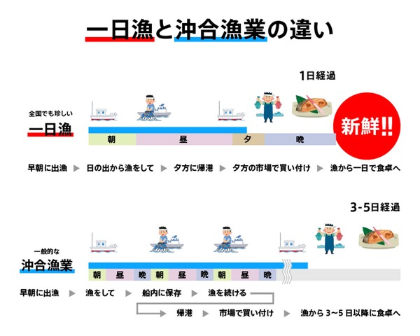 沖合漁業は漁から3-5日後に食卓に並ぶのに対して、1日漁はその日のうちに食卓に並ぶ。