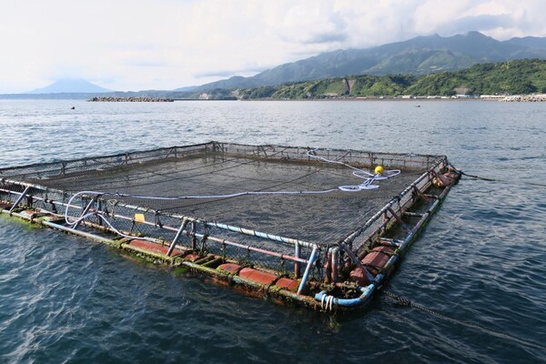 浮沈式の養殖いけす