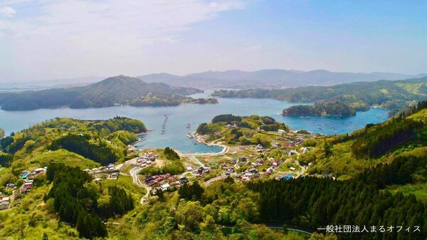 高台から気仙沼を一望すると、木々の緑と海の青が入り組み、とても美しい。