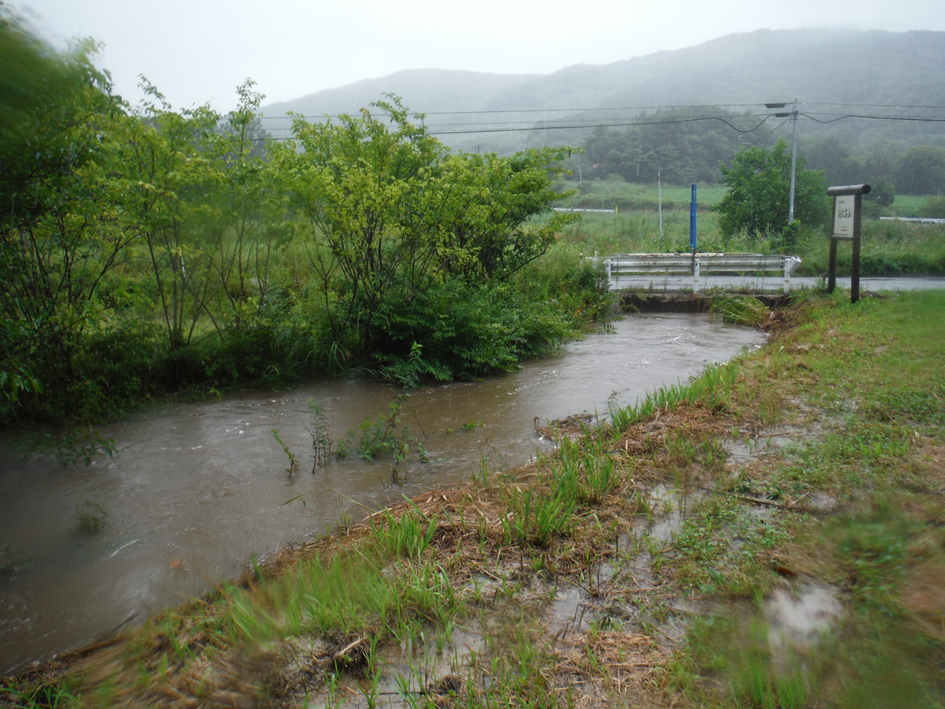 台風後の河川。水量は増して濁っている。