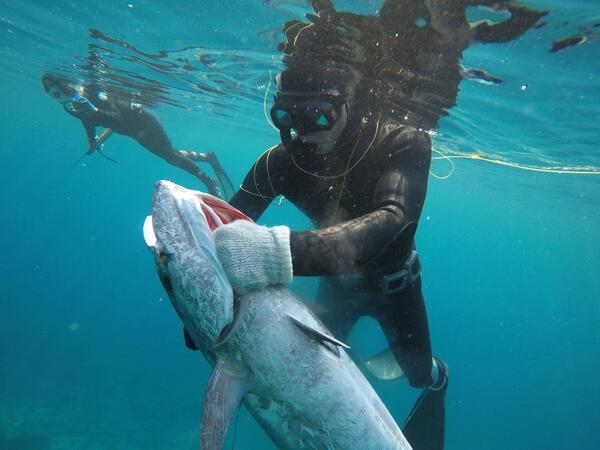 水中で大きな魚を持つ姿