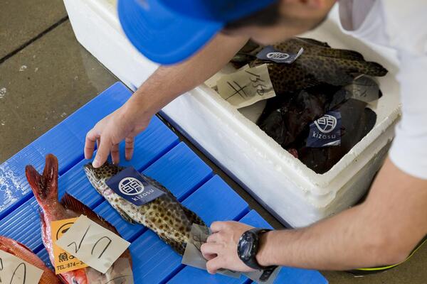 競り落とした魚を箱詰めする様子