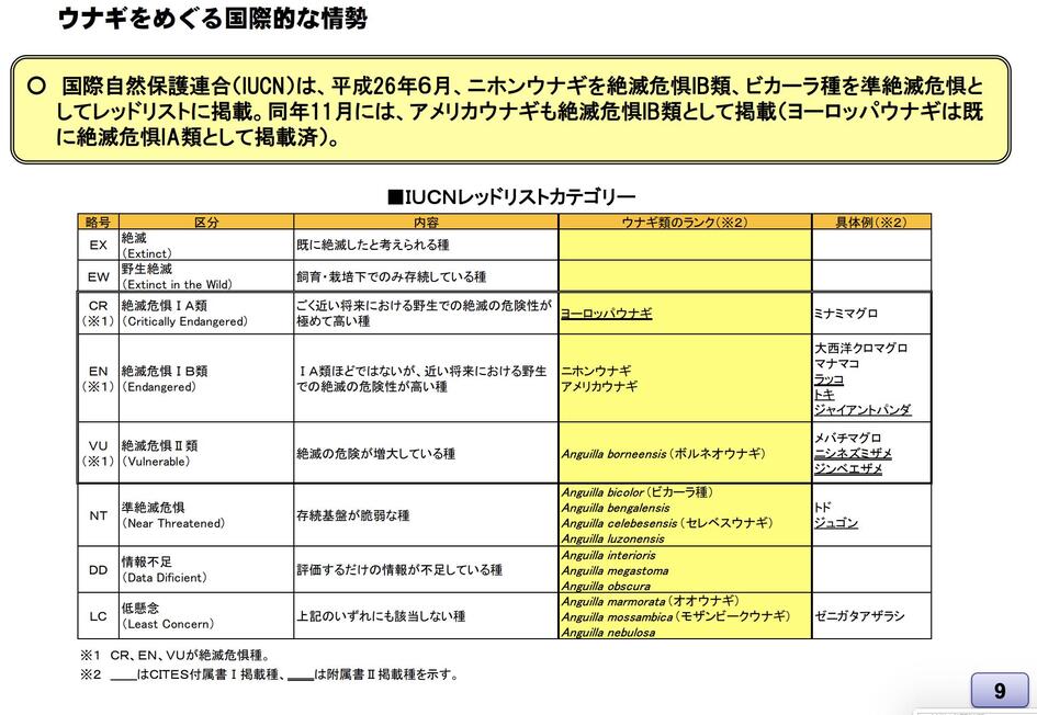 IUCNレッドリストカテゴリー。ヨーロッパウナギはミナミマグロと同じIA類。ニホンウナギはジャイアントパンダと同じIB類として掲載されている。