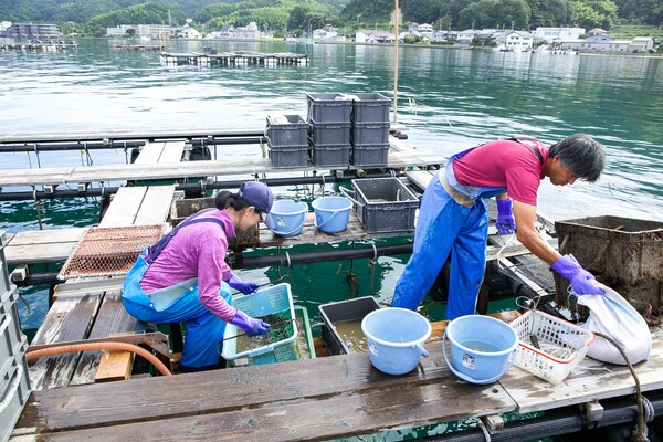 トリ貝以外の生物を取り除く