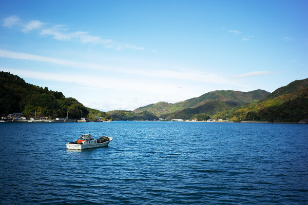 きれいな山と海