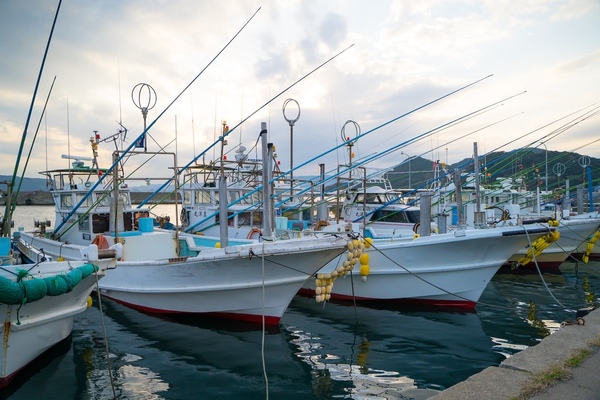 一本釣りの漁船