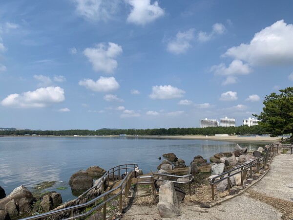 金沢区・海の公園の人工海岸