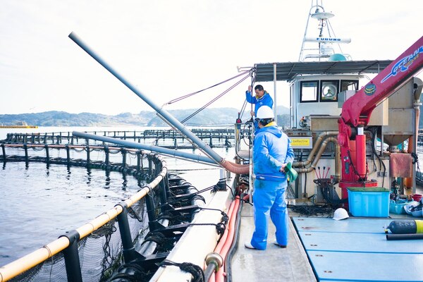 船に備え付けられたエアガンで餌を飛ばす