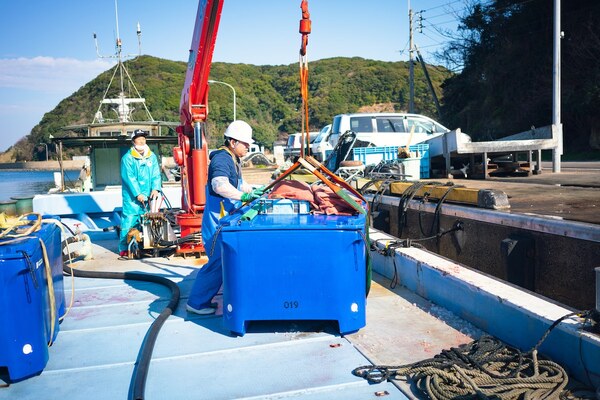 船に備え付けてあるクレーンでマグロを陸へあげる