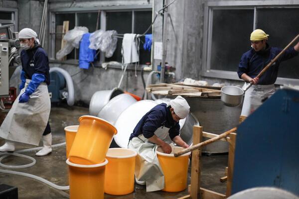 日本酒を仕込んでいる様子