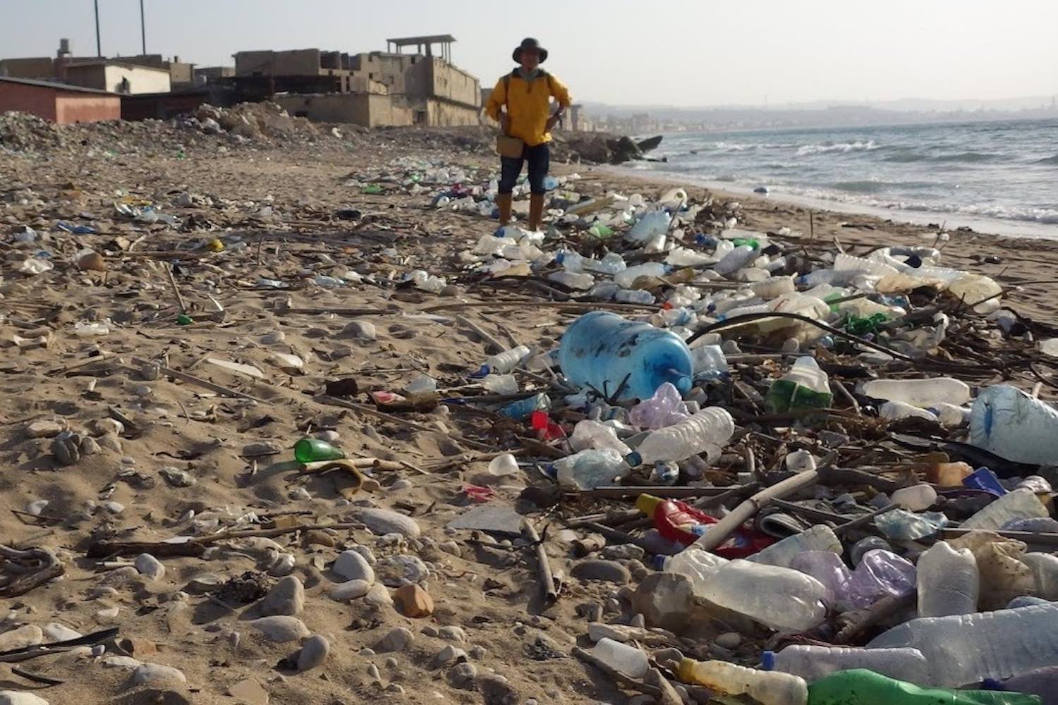 人体に影響はない、はウソ。マイクロプラスチックの影響がわかり始めて