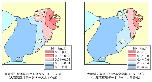 大阪湾の夏季における全窒素分布