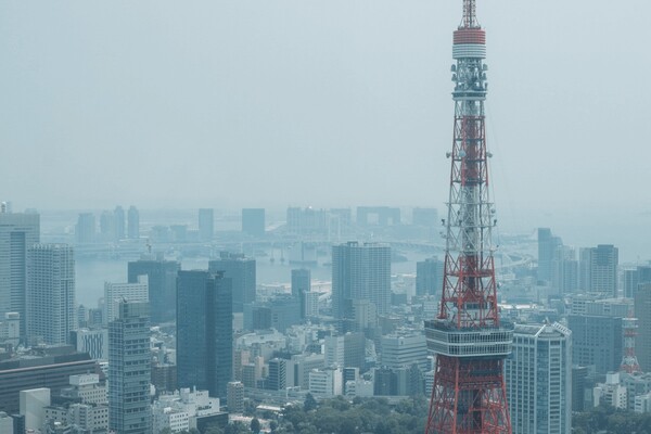 東京タワーとビルの写真