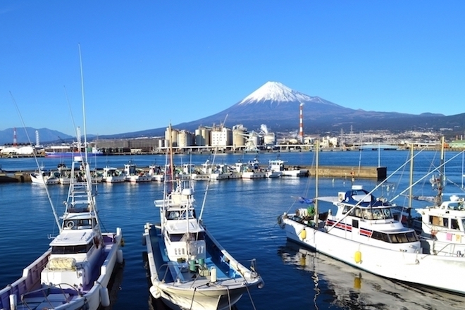 経済成長にとらわれない「定常経済」を実現するには？小規模の地域内だからできた駿河湾サクラエビ漁の軌跡